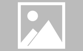 澧县濮阳社交网站制作公司（濮阳社交网站制作公司电话）
